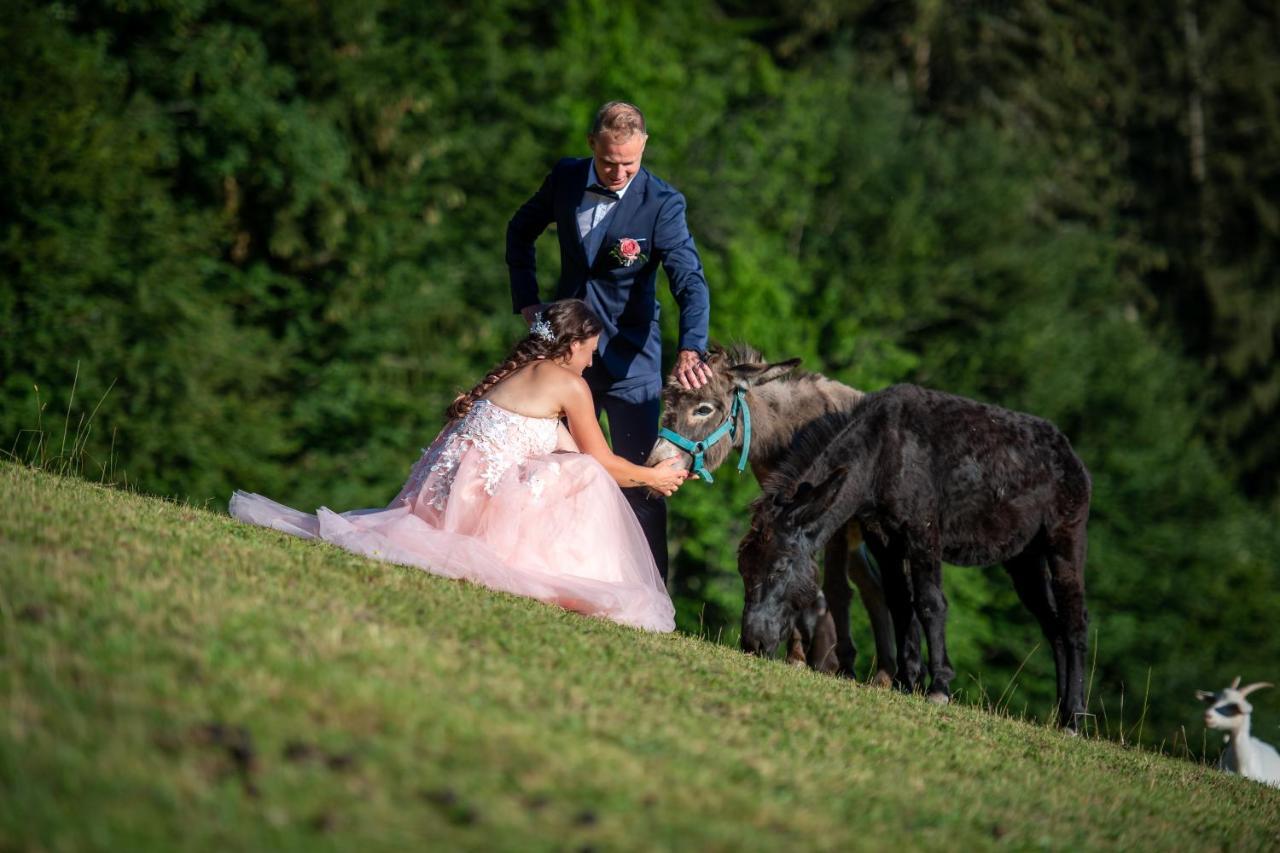Domacija Za Robom Daire Cerkno Dış mekan fotoğraf