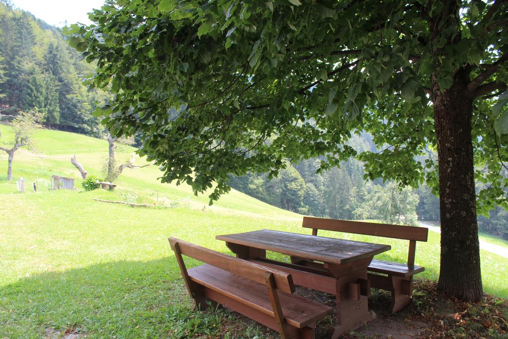 Domacija Za Robom Daire Cerkno Dış mekan fotoğraf