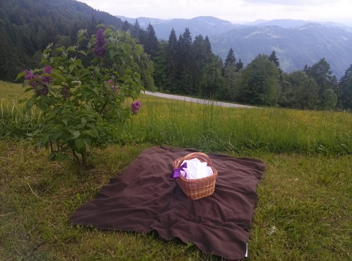 Domacija Za Robom Daire Cerkno Dış mekan fotoğraf