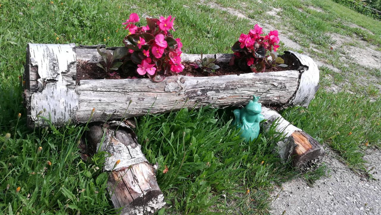 Domacija Za Robom Daire Cerkno Dış mekan fotoğraf
